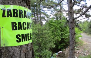 Ekocid u atraktivnom šumskom kompleksu Rudina