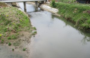 Desetkovan riblji fond u Spreči