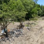 2093A7DB-DF7D-4847-BEF9-B1CA97537E16