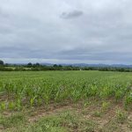 IMG-49c9210fbef0d7cbf7fa041e69d829e9-V