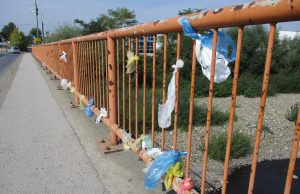 Živinički antiekološki pokret predstavlja se sa novom “umjetničkom” instalacijom