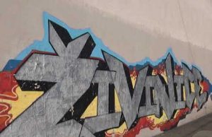 ŽIVINICE DANAS 01.12.2020.