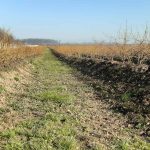 IMG-e112c5f3b77f90dc6403989dd8b3faf7-V