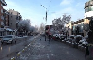 ŽIVINICE DANAS 01.02.2021.