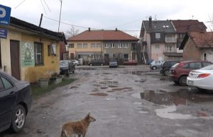 ŽIVINICE DANAS 11.02.2021.