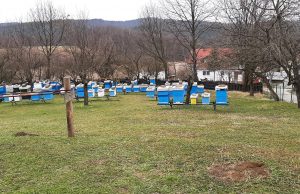 Pčelar Hamdo Mulavdić