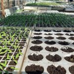 received_2021687311307697