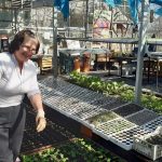 received_3276736612553828