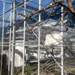 received_735851597119338