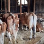 received_861662267734555