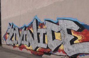 ŽIVINICE DANAS 26.02.2021.