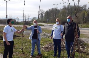 Članovi sekcije “Ekovizija” zasadili 100 sadnica divlje trešnje