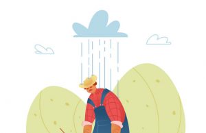 Poljoprivredni radovi u maju