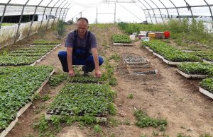 Poljoprivredna proizvodnja u MZ Svojat