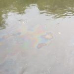 IMG-399630e4b6c5922fc4658b5530198aa0-V