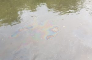 Naftne mrlje na rijeci Gostelji