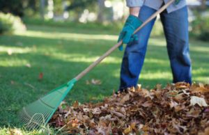 Jesenji radovi u dvorištima/avlijama