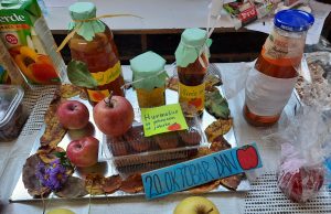 OŠ Bašigovci obilježila Dan jabuke