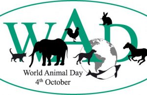 4. OKTOBAR SVJETSKI DAN ZAŠTITE ŽIVOTINJA
