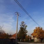 received_295158498939489