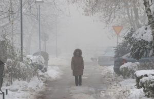 Neke činjenice o posljedicama zagađenja zraka u Živinicama