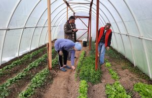 Udruženje gluhih i nagluhih osoba Živinice dobilo 9 plastenika