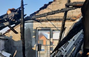 Apel za Asima Goletića