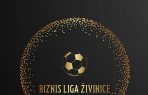 Biznis liga Živinice