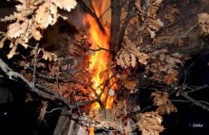 Badnji dan uoči pravoslavnog Božića