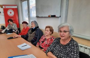 Sekcija Zlatna dob Živince