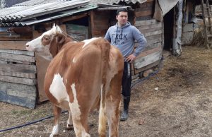 Živinički hunjer osigurao “novi početak” za porodicu Ramić