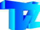 Televizija Živinice prati izborni dan u izbornoj jedinici 079