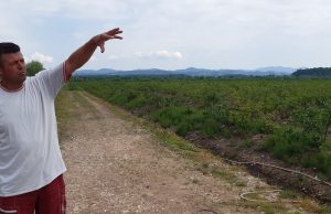 Živiničanin Alija Đogić – uzoran čovjek i poljoprivredni proizvođač