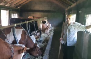 Apel živiničkih farmera