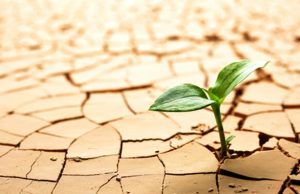 Svjetski dan borbe protiv stvaranja pustinja i suša – 17. juni