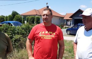 Počela žetva pšenice na području Živinica