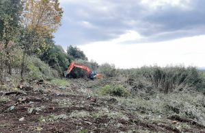 Infrastrukturni radovi ribarskog udruženja “Mrena”