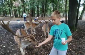 4. oktobar – Svjetski dan životinja