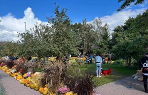 26. Oktobar – Dan bundeve