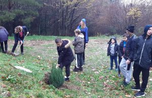 Međunarodni dan ekološkog pokreta, na prigodan način, obilježen u Živinicama