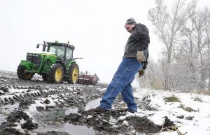 Poljoprivredne aktivnosti u decembru