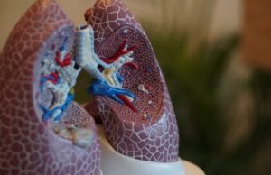 15. novembar – Međunarodni dan borbe protiv opstruktivne bolesti pluća