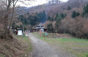 Organizirano druženje za djecu sa poteškoćama u razvoju kroz projekat “Priroda za sve”