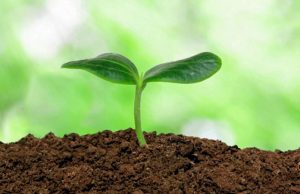 5. decembar – Svjetski dan zemljišta