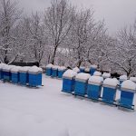 inbound7899777046886678515