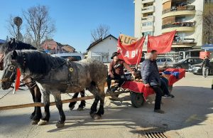 Poklade u Živinicama