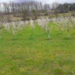 IMG-d07c66b1fda0e3cdae795bcd7e479278-V