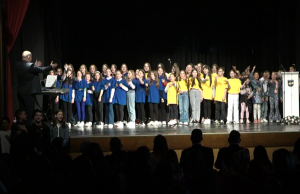 Druga osnovna škola Živinice obilježila dan škole