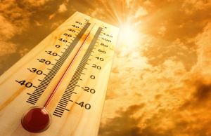 Preporuke poslodavcima zbog visokih temperatura