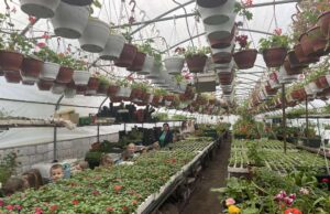 Mališani Dječijeg obdaništa posjetili rasadnik Čaušević